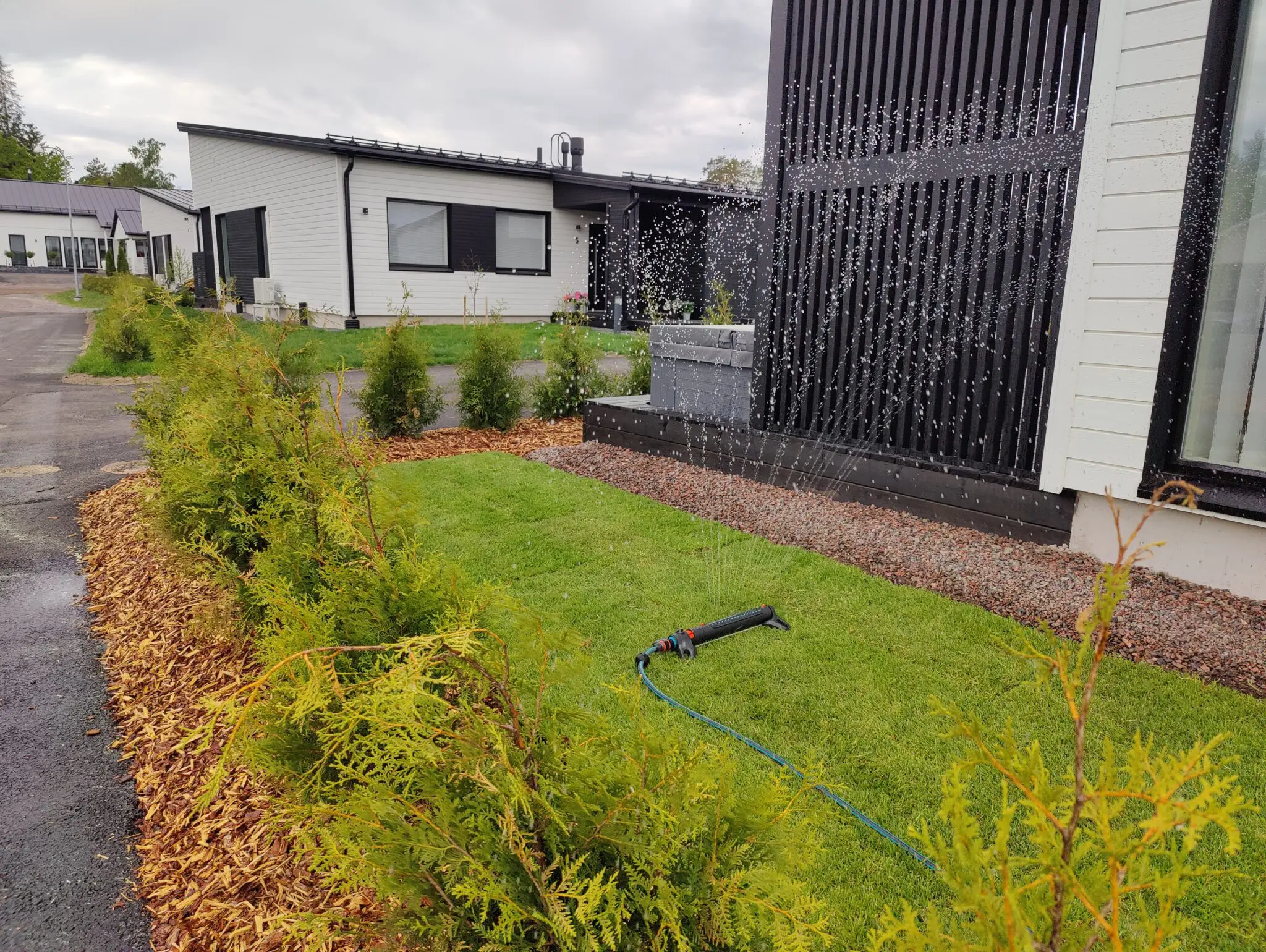 IMG20220610175739-2048×1540