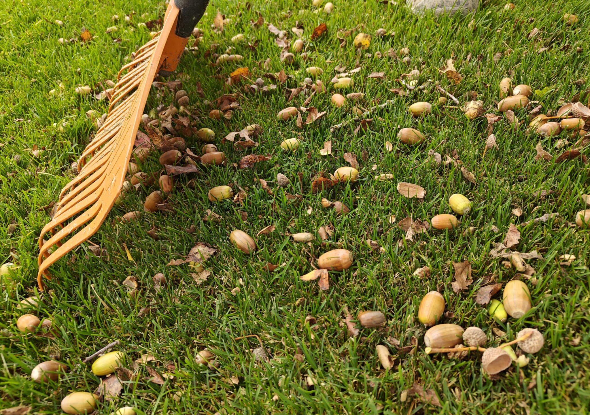 IMG20231001161841-scaled-e1697188837629-2048×1440 (1)