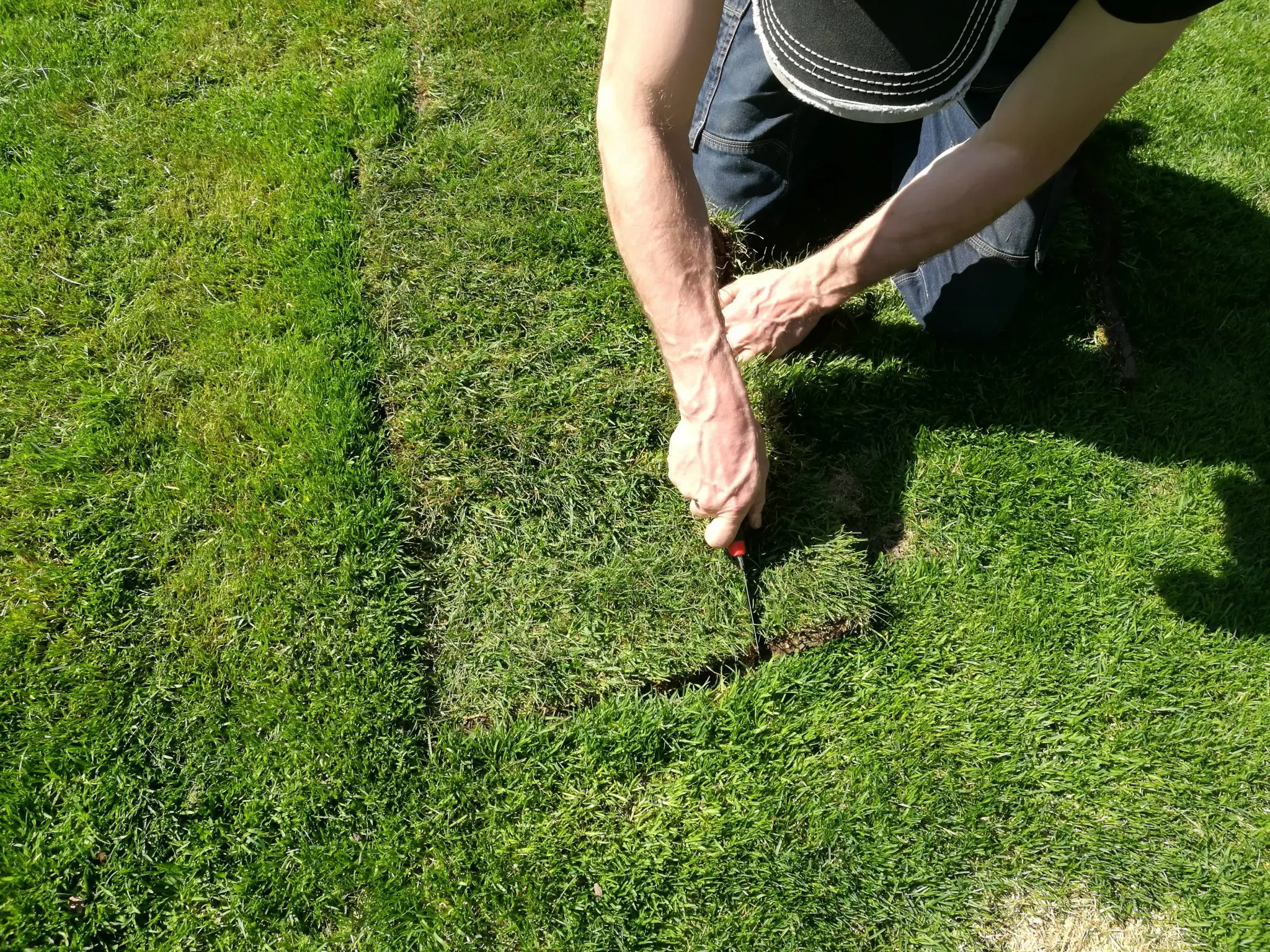 IMG_20180507_125810-2048×1536