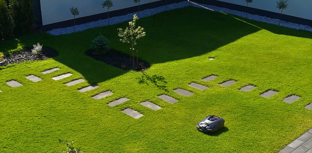 IMG_20180725_103258-e1554474792533