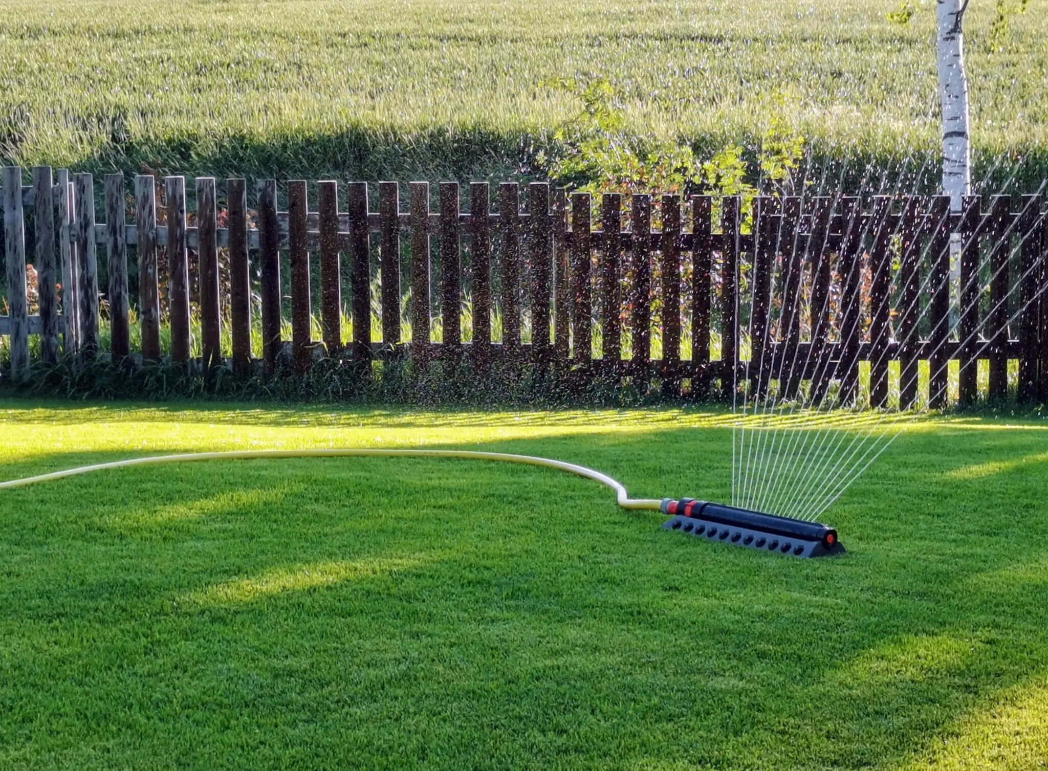 IMG_20210702_203822-2048×1507