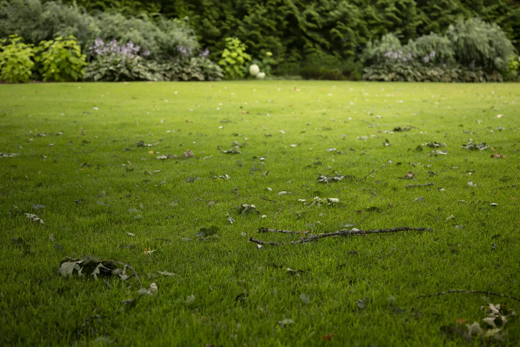 IMG_4403-2048×1365 (1)