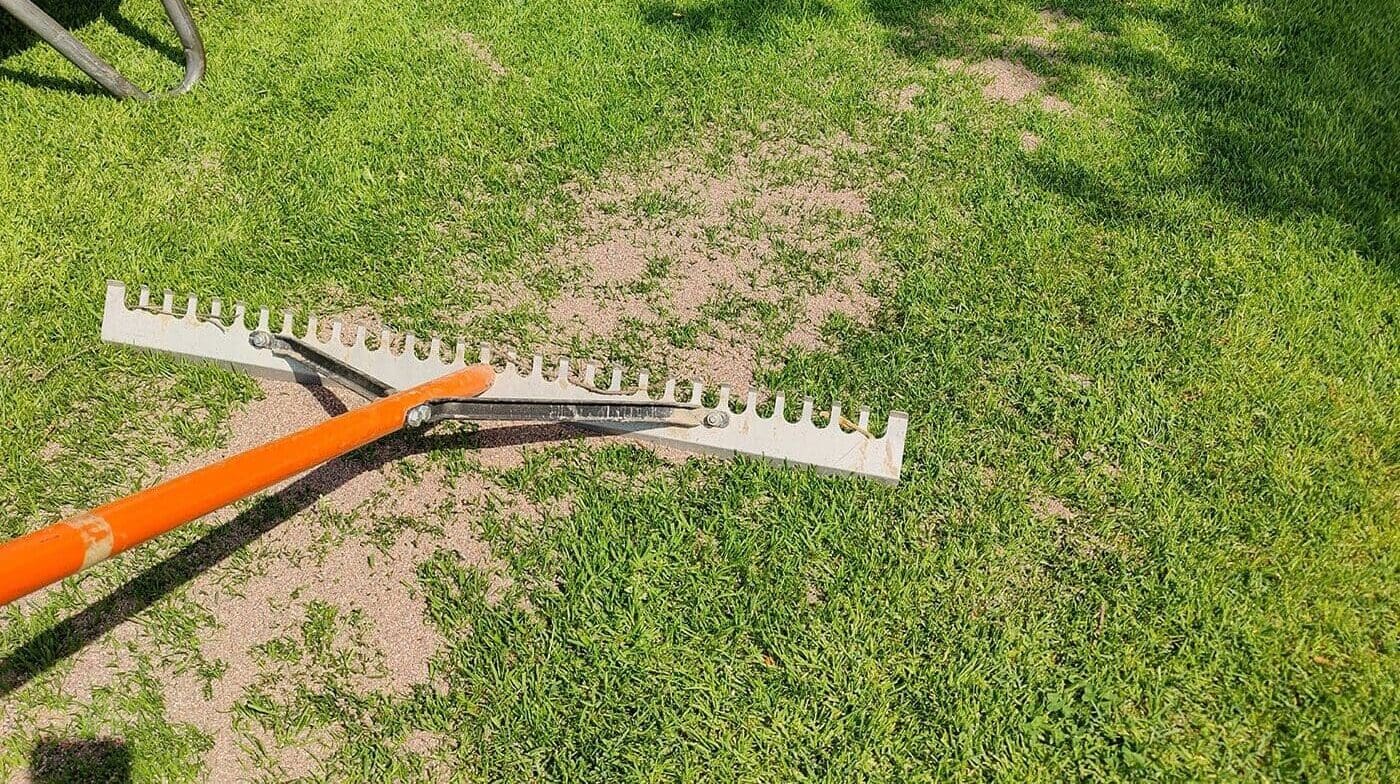 Nurmikon-dressaus-haravointi-e1750885569444