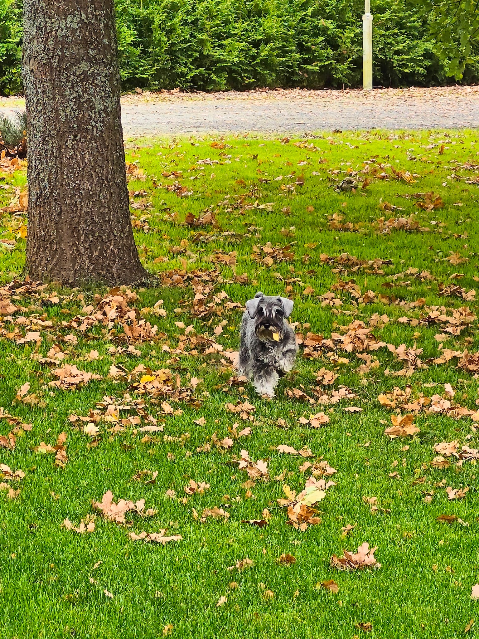 WhatsApp Image 2025-08-22 at 16.56.18