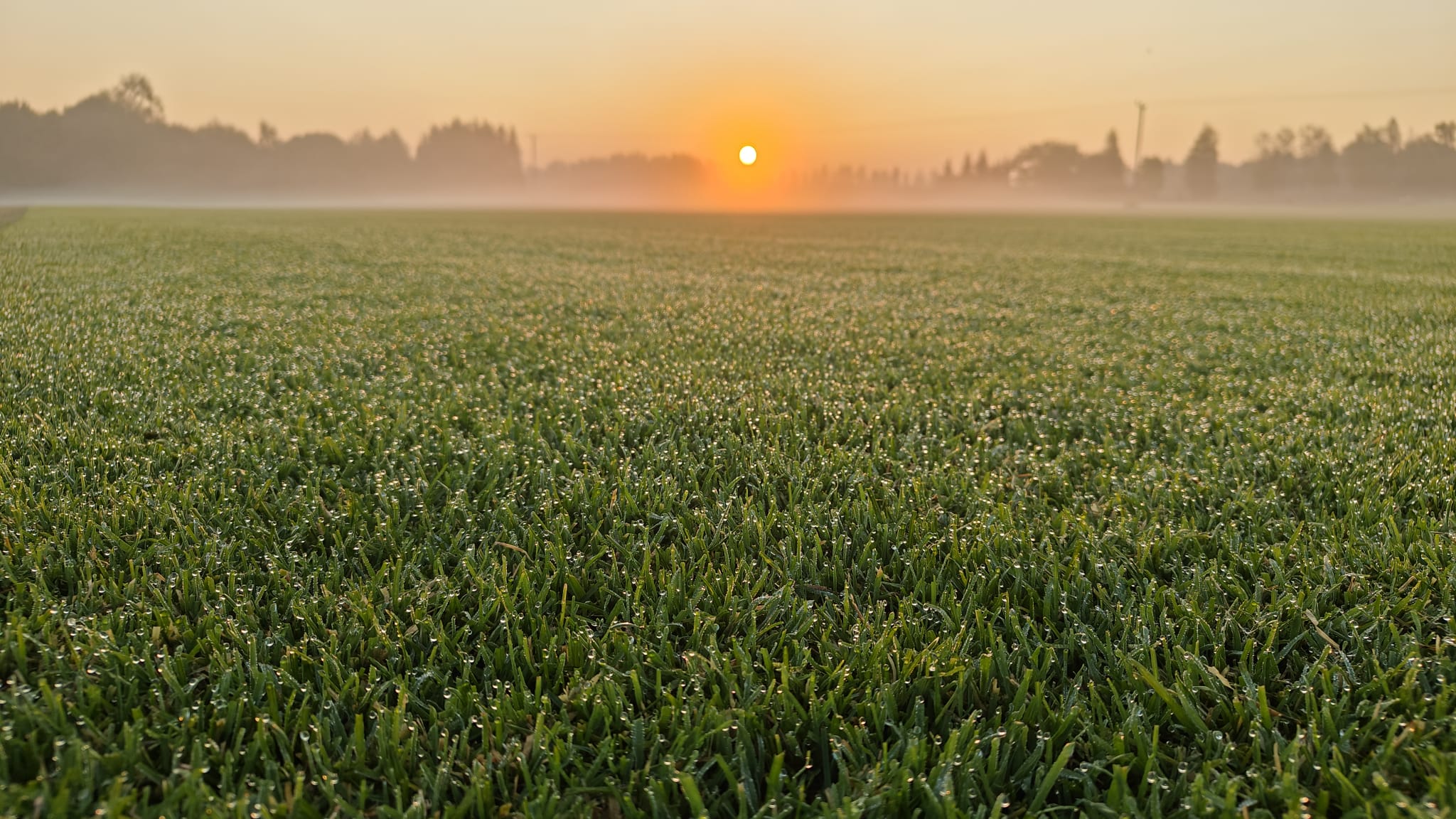 WhatsApp Image 2025-08-22 at 16.56.19