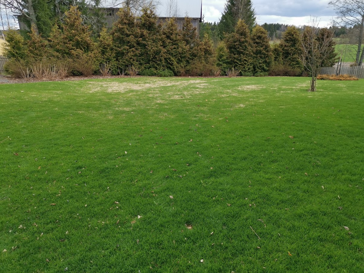 painaumat_nurmikolla