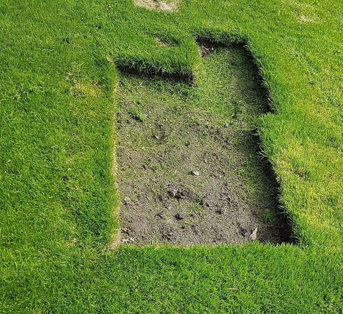 received_2076727825904701-e1623344170790