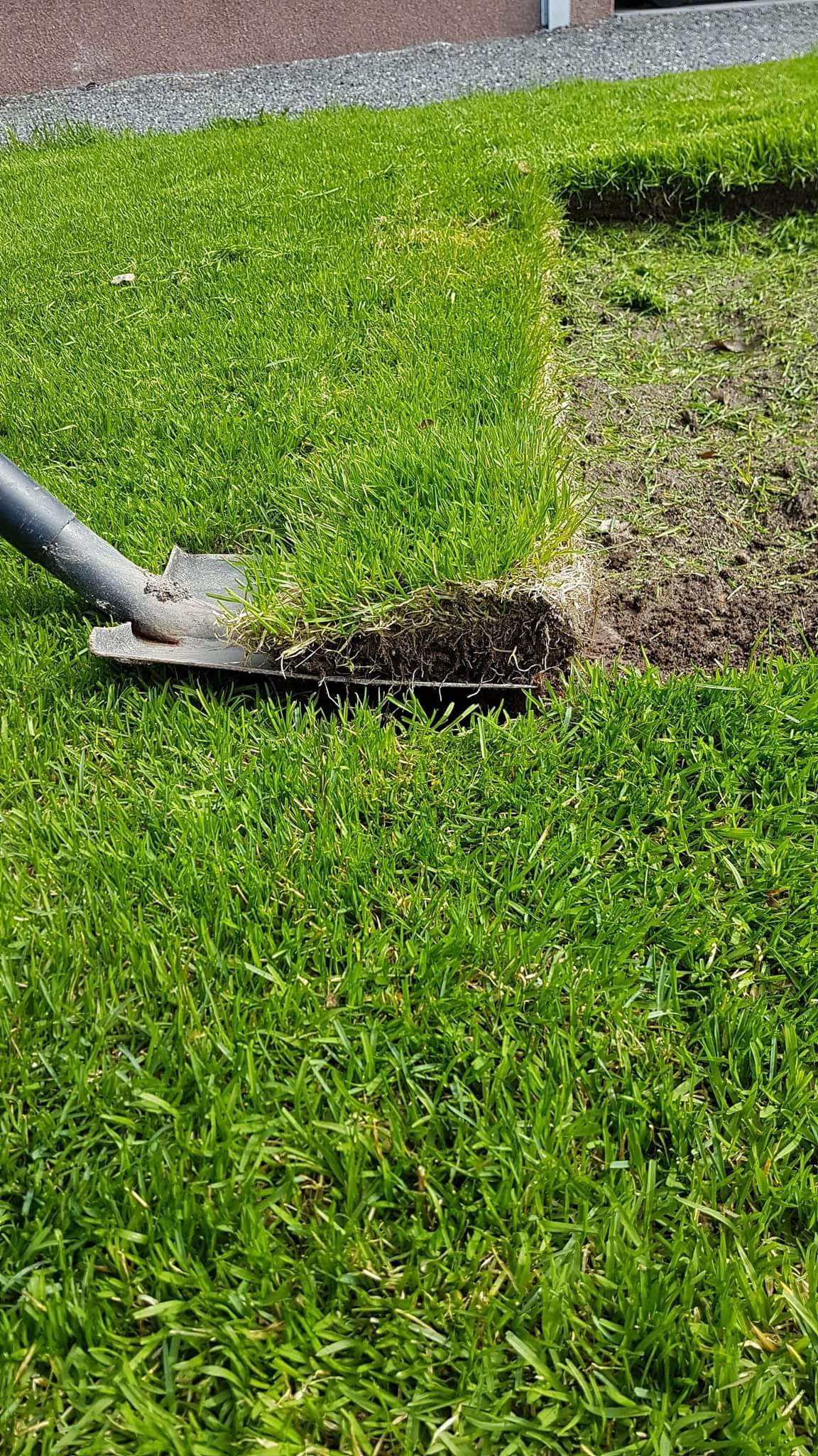 received_2076727832571367