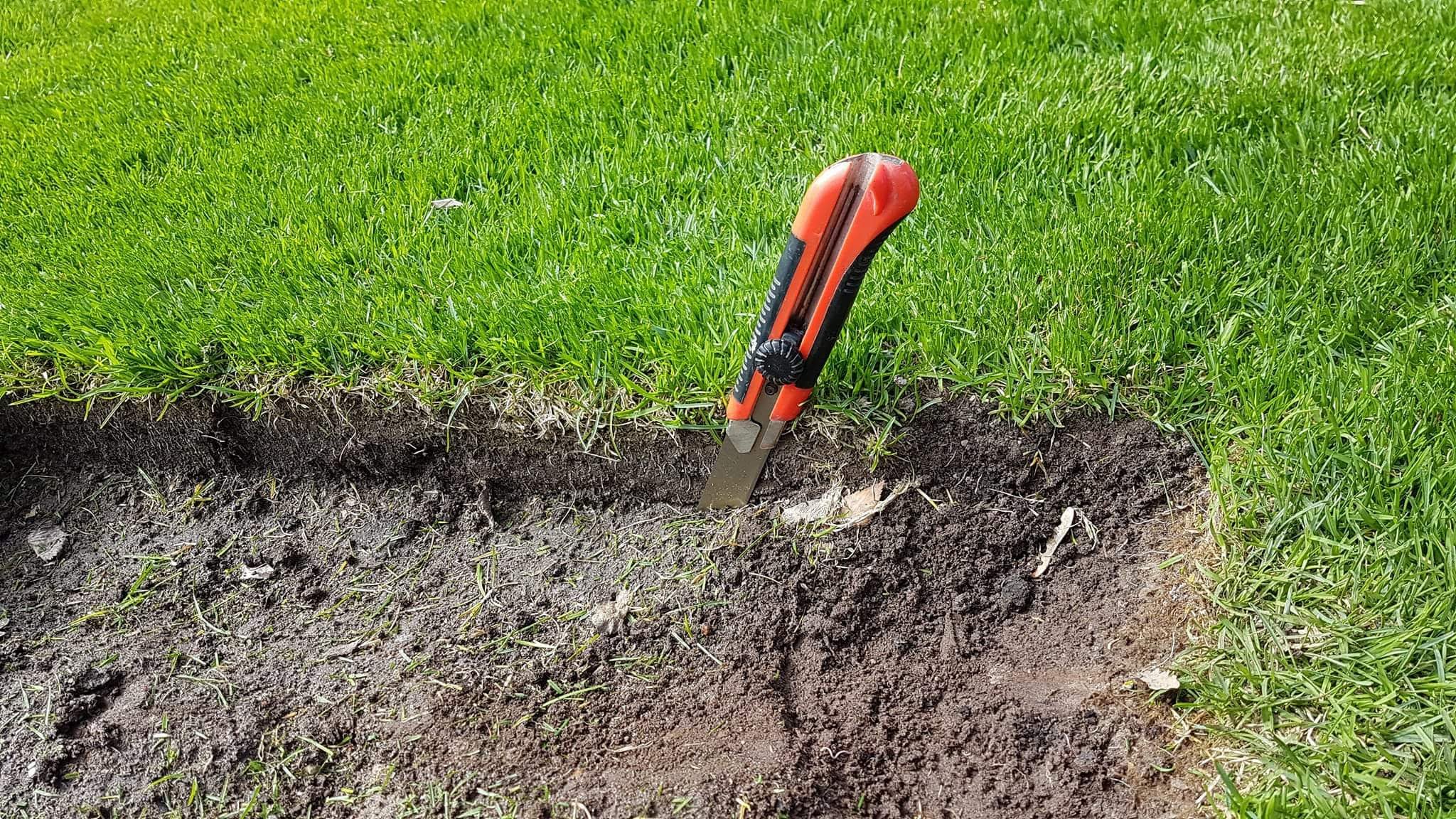 received_2076727842571366