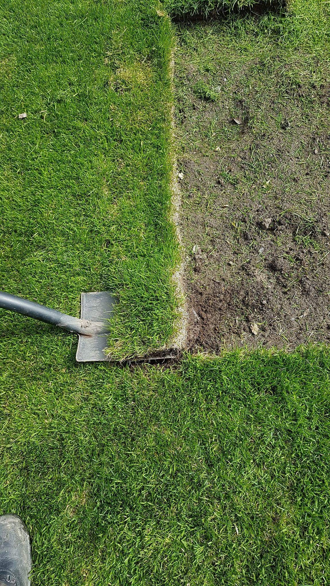 received_2076727855904698